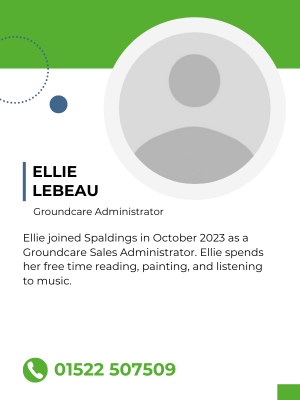 Ellie Lebeau